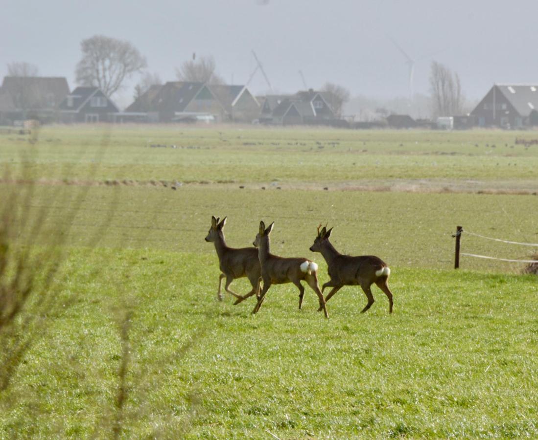 Het Melkhuis Op Prachtig Landgoed Koepeltjesplaats Gaast Екстер'єр фото