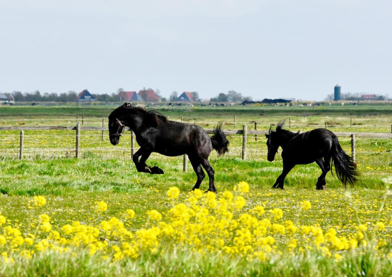 Het Melkhuis Op Prachtig Landgoed Koepeltjesplaats Gaast Екстер'єр фото
