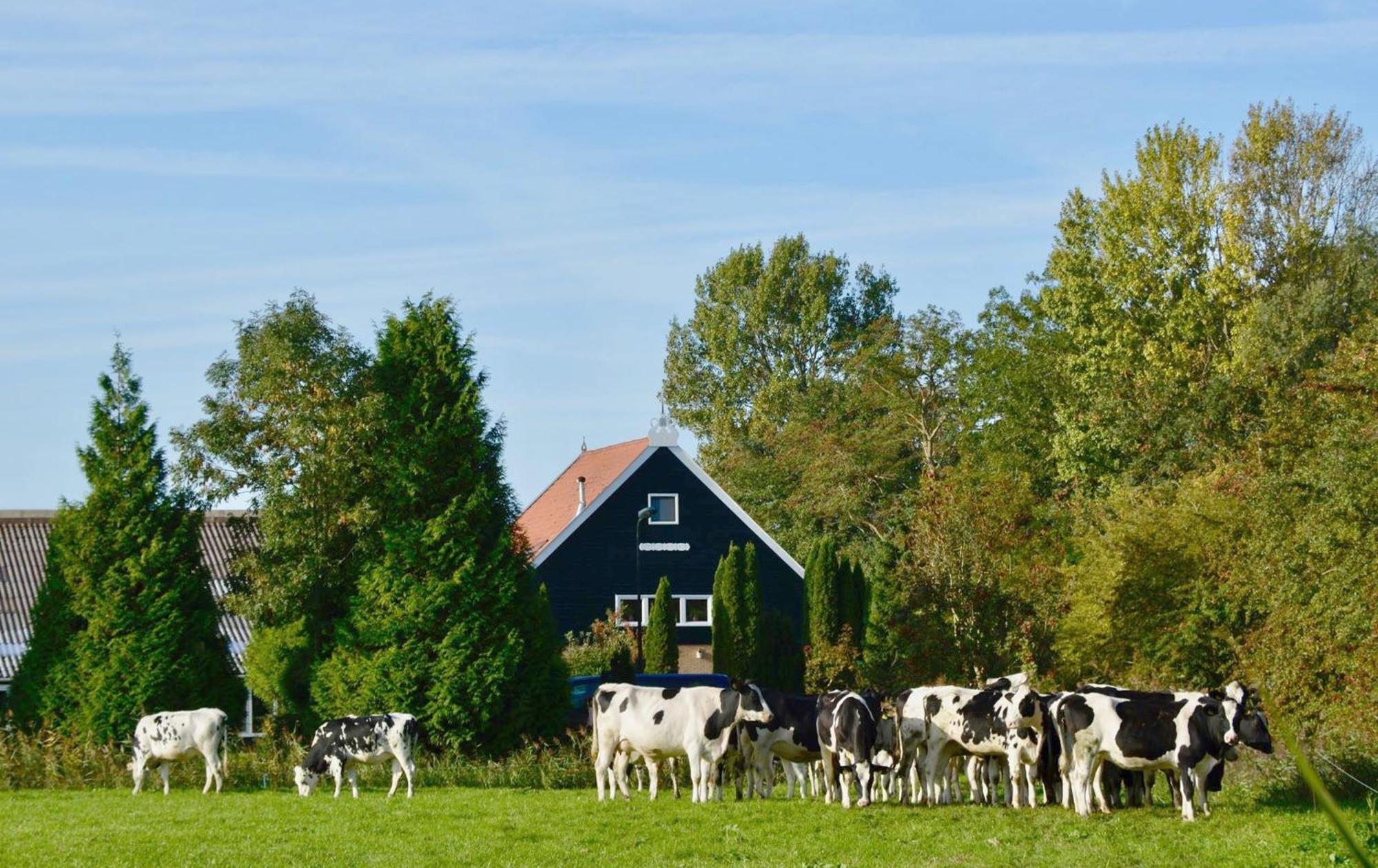 Het Melkhuis Op Prachtig Landgoed Koepeltjesplaats Gaast Екстер'єр фото